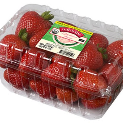 strawberry-organic
