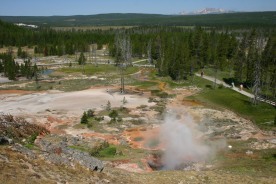 Yellowstone Day 7 (12)